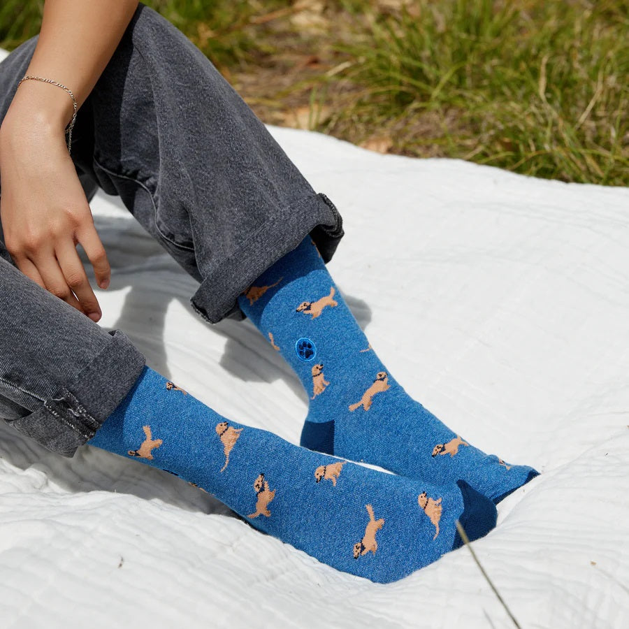 Dog Socks Medium Blue Goldens