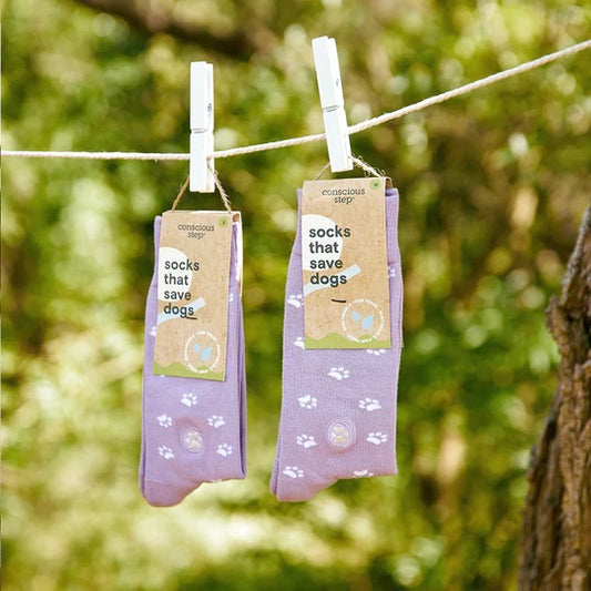 Dog Socks Small Purple Paw Prints