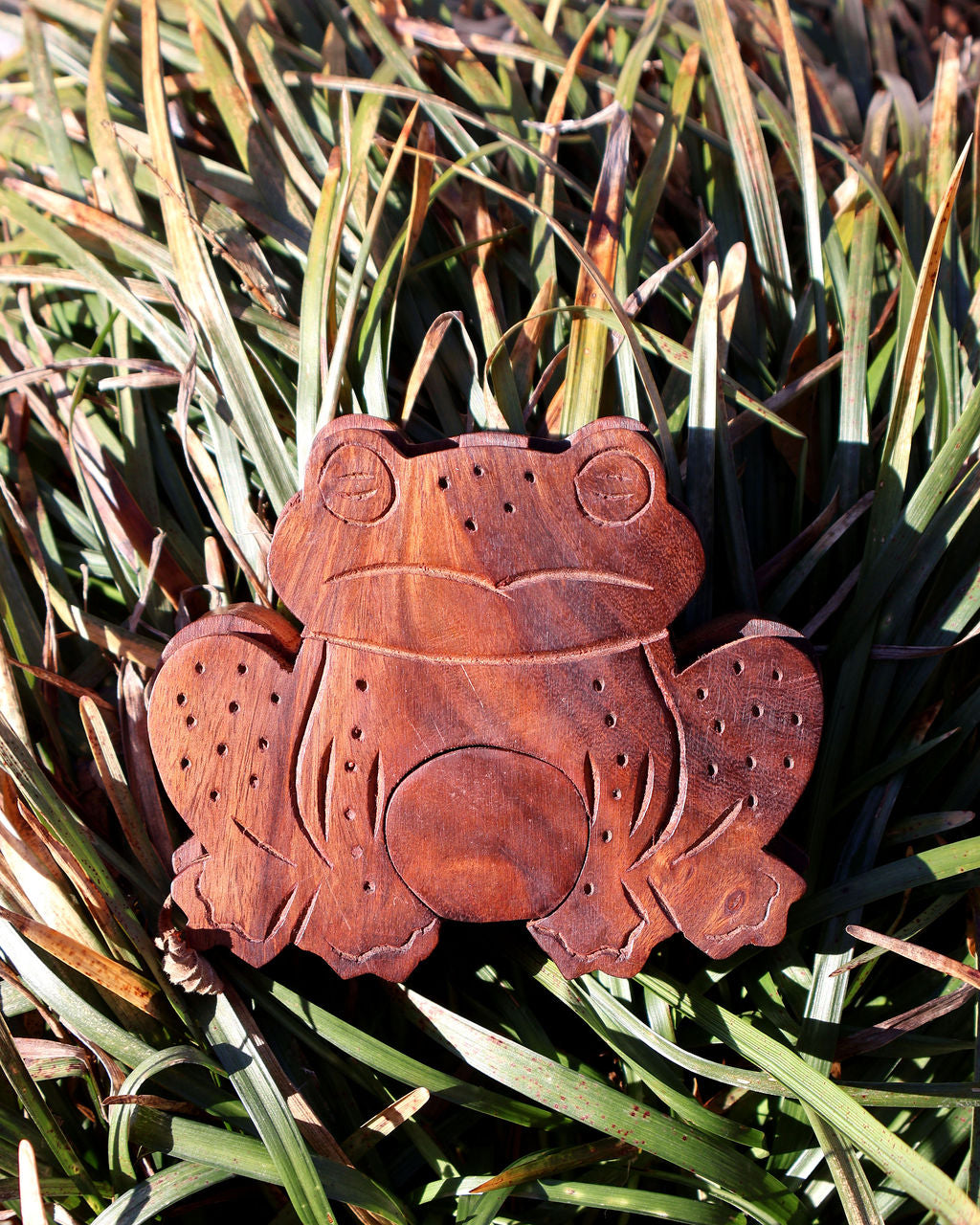 Frog Puzzle Box