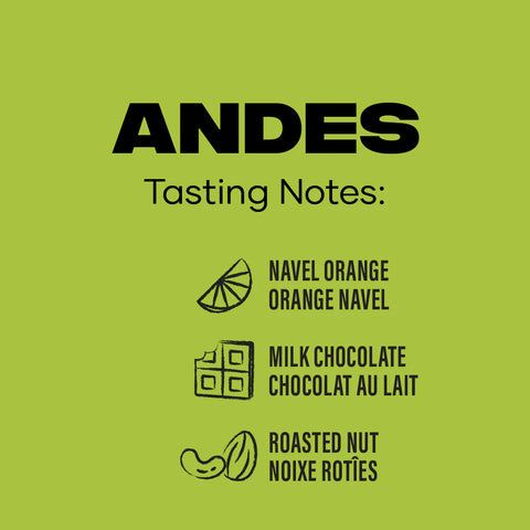 Andes Mountain Coffee