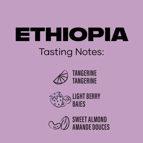 Ethiopia Medium Coffee