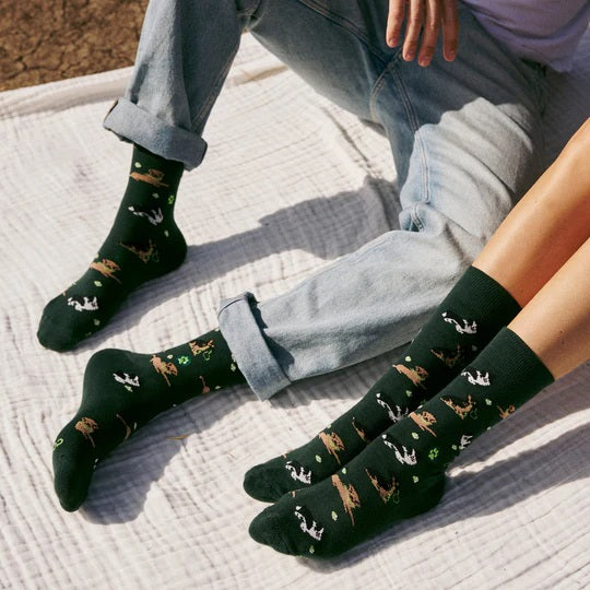 Dog Socks Medium Go Fetch