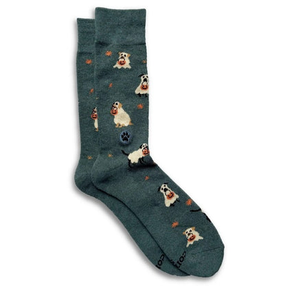 Dog Socks Medium Tricks or Treats
