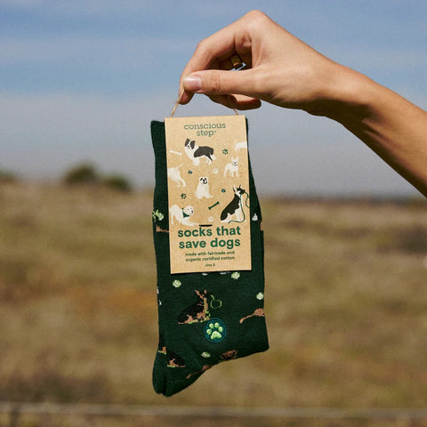 Dog Socks Small Go Fetch