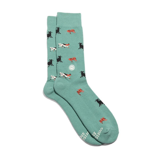 Cat Socks