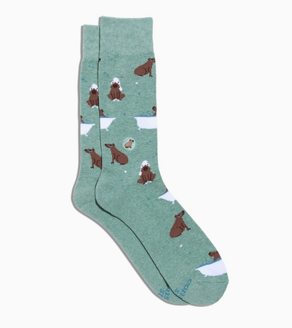 Mental Health Socks Medium Capybaras