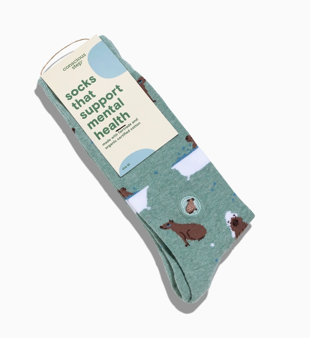 Mental Health Socks Small Capybaras
