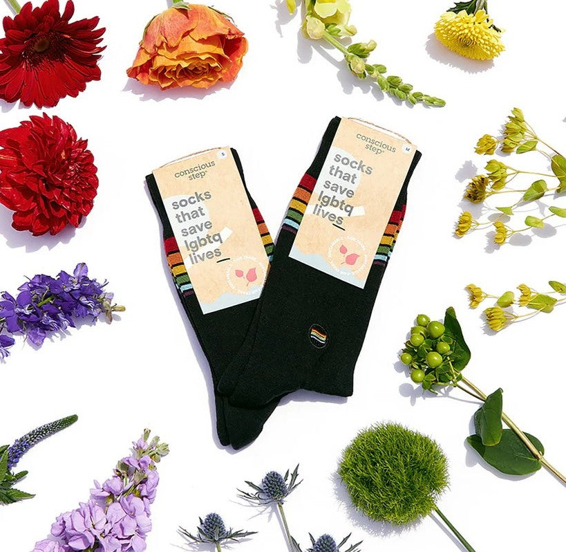LGBTQ Socks Small Classic Stripe