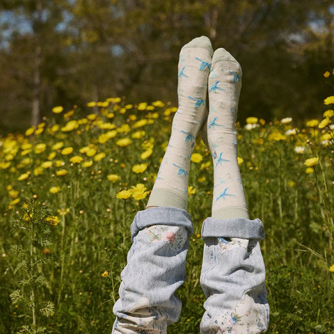 Socks That Protect Pollinators - Hedgehogs