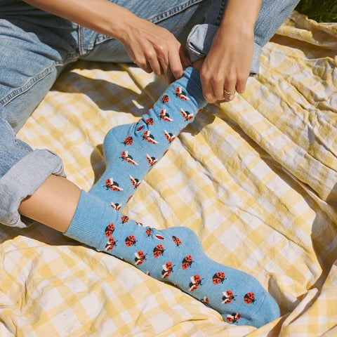Socks That Protect Pollinators - Hedgehogs