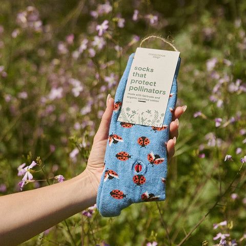 Socks That Protect Pollinators - Hedgehogs