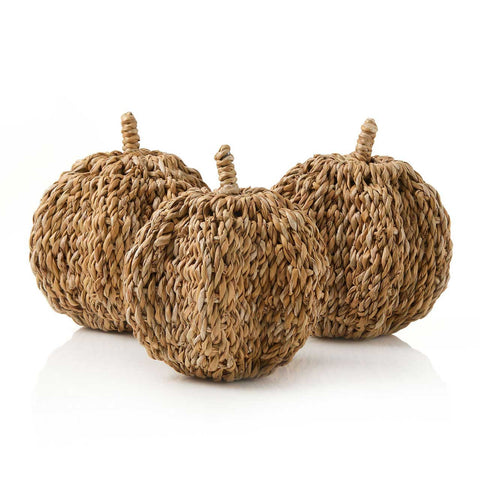 Small Hogla Pumpkin