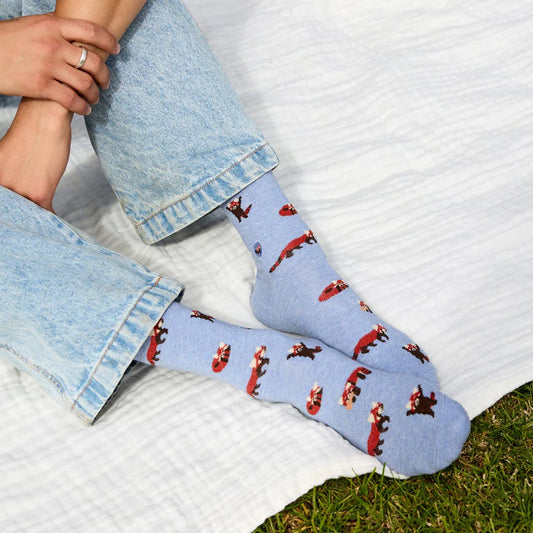 Red Panda Socks