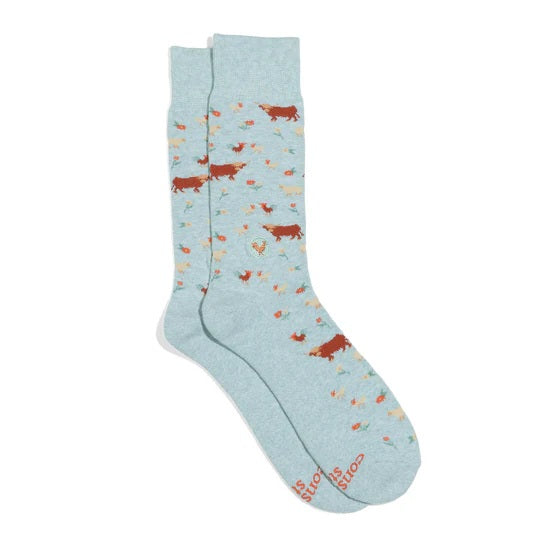 Farm Animals Socks