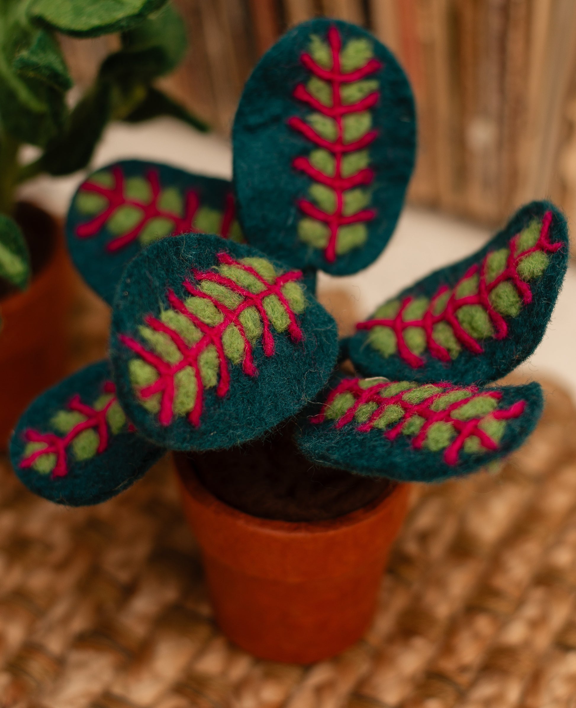 Potted Felt Prayer Plant