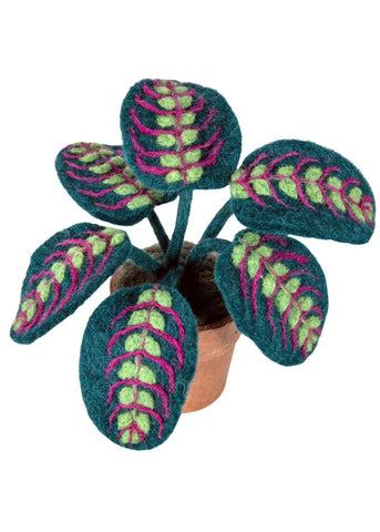 Potted Felt Prayer Plant