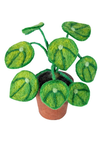 Potted Felt Money Plant