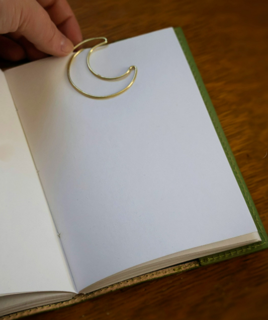 Snake Embossed Green Leather Journal