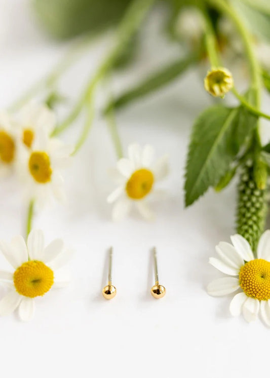 Small Ball Stud - Gold