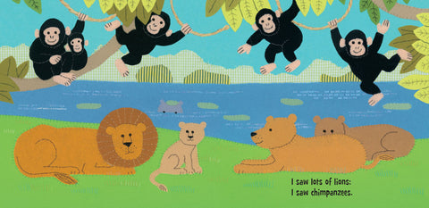 Hidden Hippo Board Book