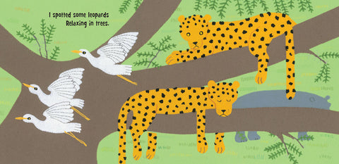 Hidden Hippo Board Book