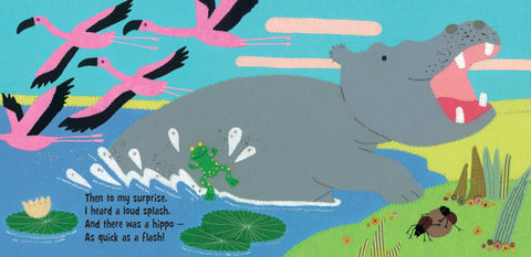 Hidden Hippo Board Book