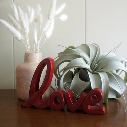 Love Standing Word - Red
