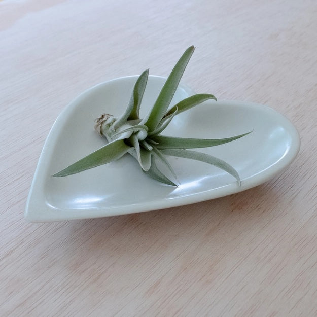 Large Heart Dish - Natural