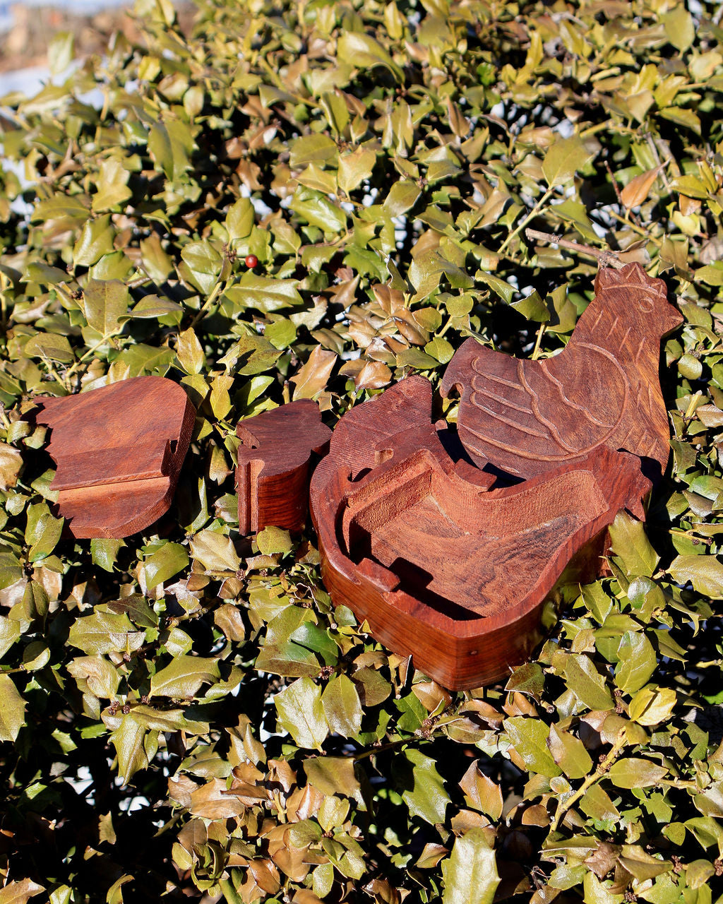 Chicken Puzzle Box