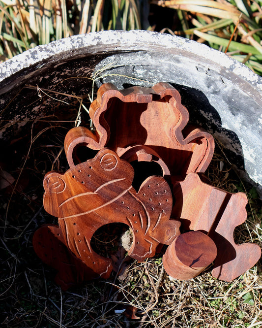 Frog Puzzle Box