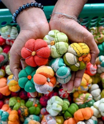 Mini Saree Pumpkin