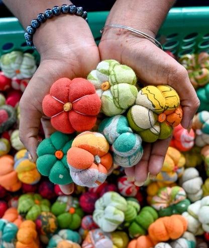 Mini Saree Pumpkin