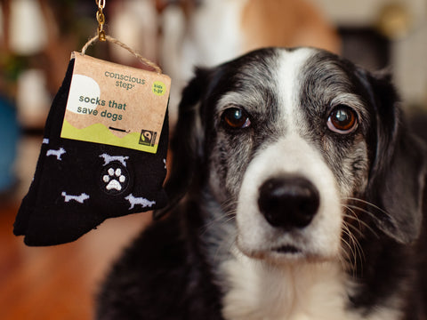 Kids Socks That Save Dogs