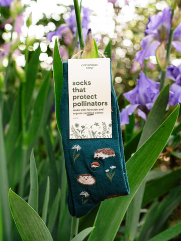 Socks That Protect Pollinators - Hedgehogs