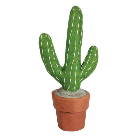 Small Saguaro Cactus